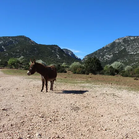 Πανσιόν Bissicoro#
