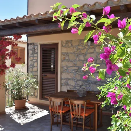 Bissicoro# 3*