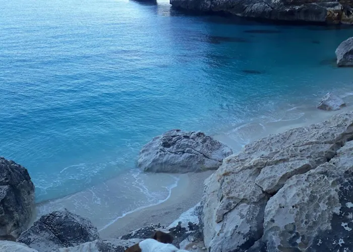 Konukevi Bissicoro# Baunei