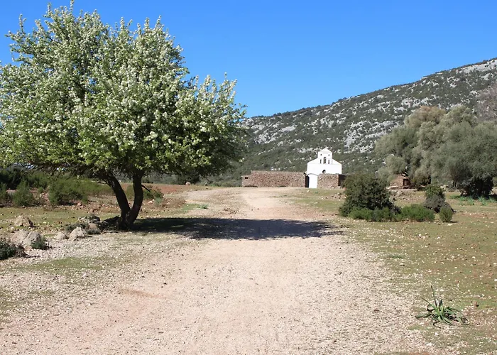 Bissicoro# Konukevi Baunei